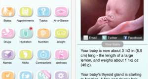 pregnancy-companion